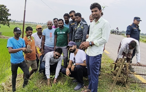 बलान नदीको डिलमा बृक्षारोपण 