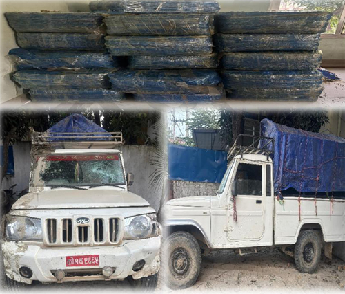 पिकअप र चालकसहित ८  क्विन्टल ३२ किलो गाजा बरामद