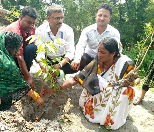 विश्व वातावरण दिवसको अवसरमा वृक्षारोपण