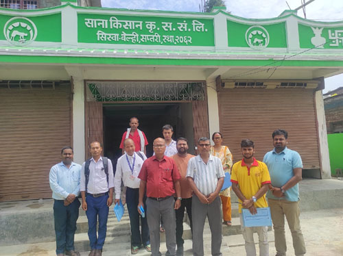नगर सल्लाहकार समितिद्वारा अनुगमन