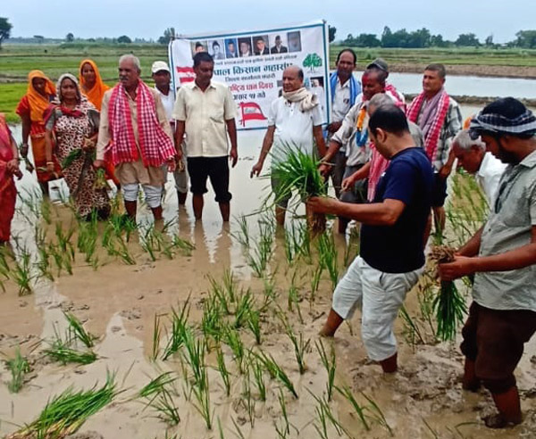 रोपाईसँगै काँग्रेसद्वारा किसानको कार्यालय उद्घाटन