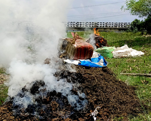 पाँच सय किलो भन्दा बढी गाजा जलाएर नष्ट