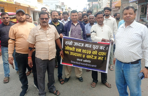 औषधी ऐन खारेजीका माग गर्दै औषधी ब्यवसायी आन्दोलित 