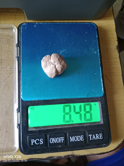 ब्राउन सुगरसहित यूवक पक्राउ