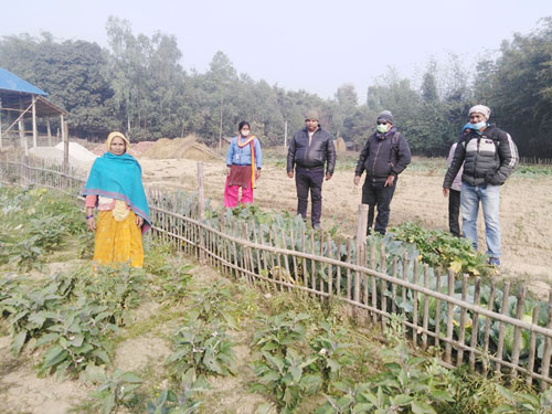 छोराछोरीको पढाई खर्च जुटाउन तरकारी खेती