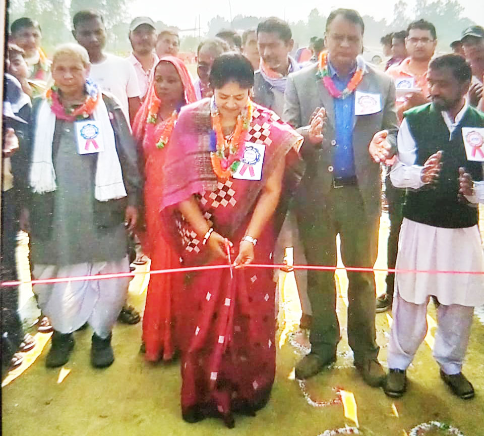 डाकनेश्वरी टि–ट्वान्टी कप क्रिकेट सुरु