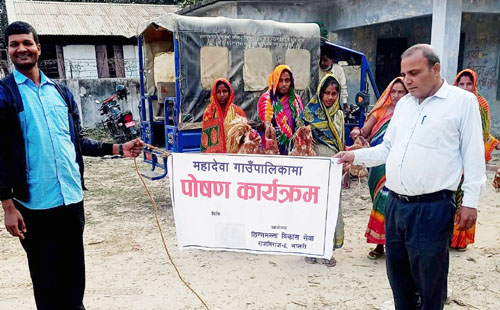 कुखुरा र पोषण सामग्री बितरण