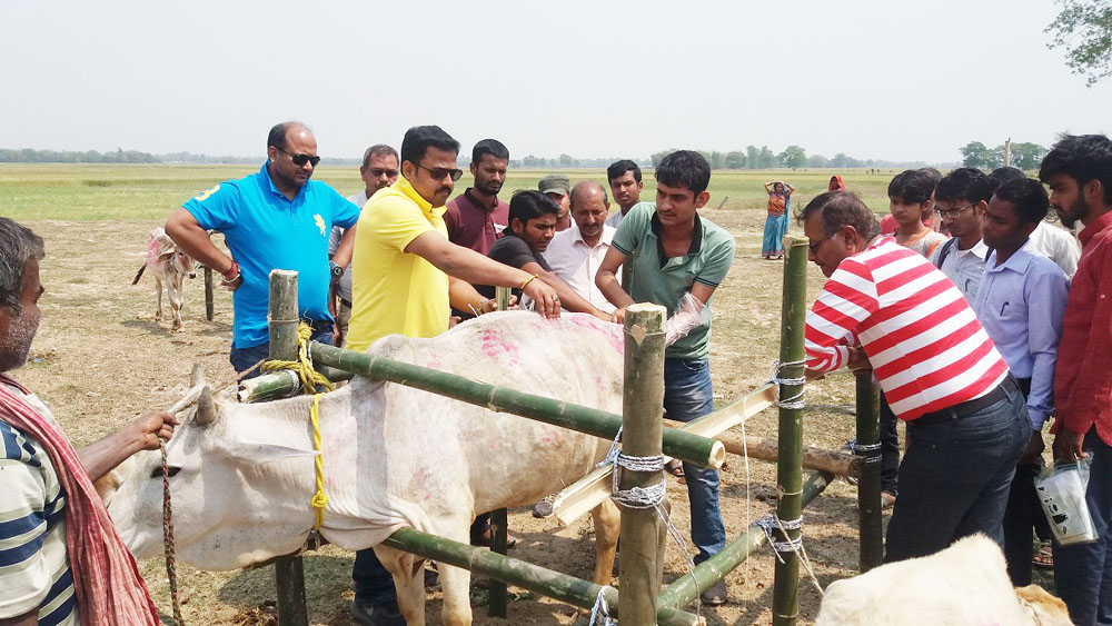 पशुमा देखिने बाँझोपन रोग निवारण सम्बन्धी शिविर संचालन
