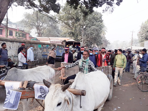 अनेरास्ववियुद्रारा बैलगाडासहित बिरोध प्रदर्शन