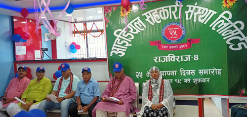 आइडियलद्वारा २५ आइडिया सार्वजनिक