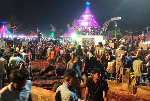 ६ सय तीन वटा राँगाको बलि प्रदान 