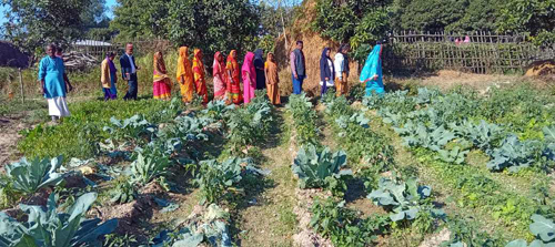 स्वास्थ, शिक्षा तथा कृषीमा मुहार फेरिदै