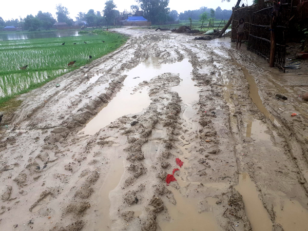 सडक हिलाम्मे बनाएर निर्माण कम्पनी फरार 
