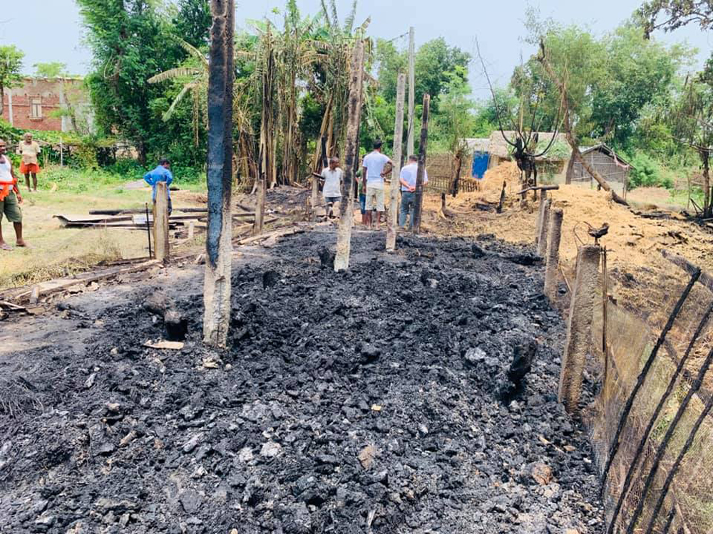 आगलागिमा एक हजार ५ सय कुखुराका चल्ला जलेर मरे
