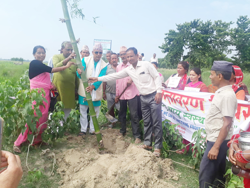 विश्व वातावरण दिवसमा  त्रियुगामा बाँसको बिरुवा रोपिए