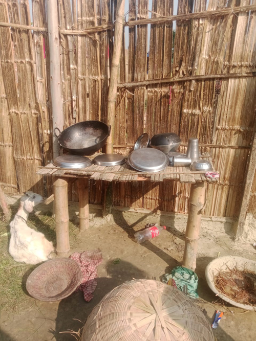 सरसफाइप्रति पवित्री देवीको मोह