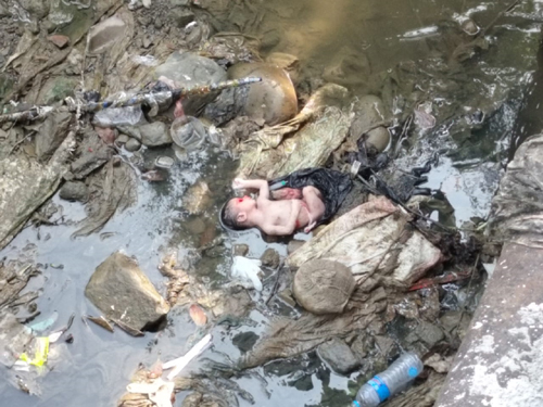 भलुवाही पुल मूनी नवजात  शिशुको शव फेला 