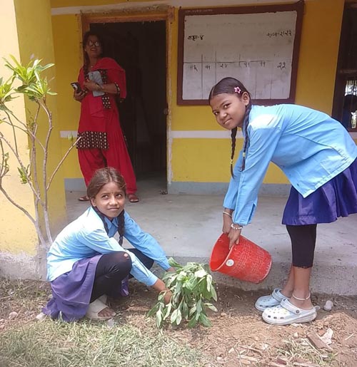 विश्व वातावरण दिवसमा विभिन्न स्थानमा बृक्षारोपन