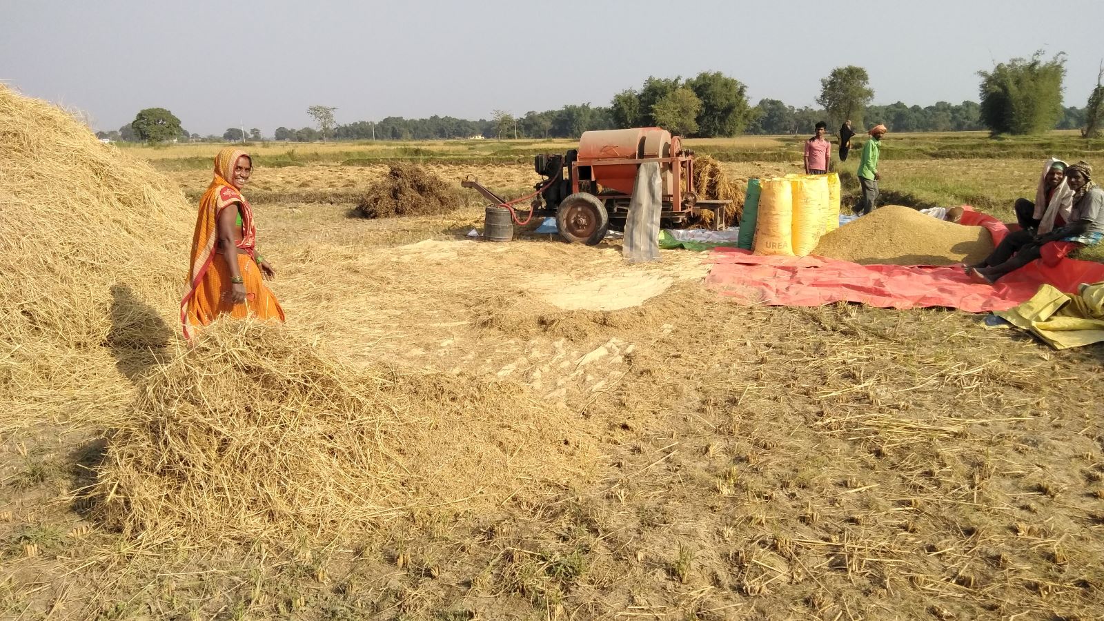 झण्डै नौ प्रतिशतले धानको उत्पादन वृद्धि