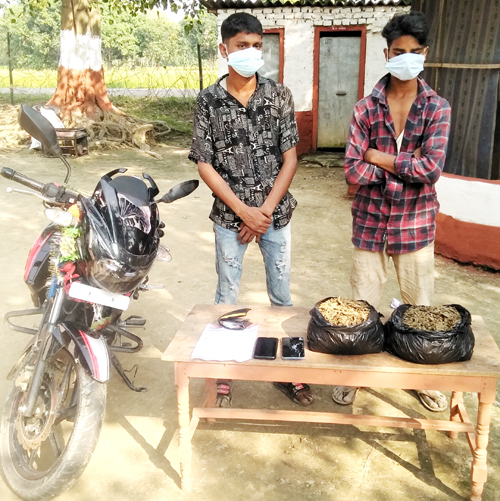 गाजासहित दुई किशोर पक्राउ