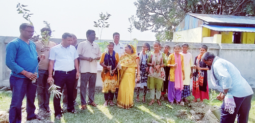 तिलाठीमा विश्व वातावरण दिवसमा वृक्षारोपण