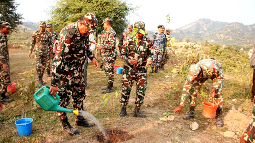 सेनाद्वारा चुरे क्षेत्रमा चार हजार बोट बिरुवा रोपिए