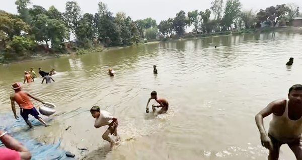 प्रहरी र जनप्रतिनिधि अगाडी नै पोखरीबाट निकालिएको माछा लुटियो