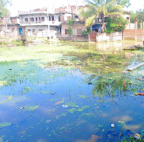 ढल निकासको उचित व्यवस्थापन नहुँदा टोल पोखरीमा परिणत, तीन दर्जन परिवार समस्यामा