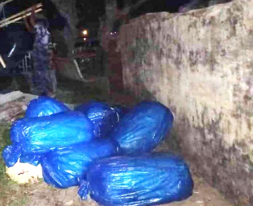 सप्तकोशी नदीको झारीमा लुकाइराखेको ठुलो परिमाणको गाजा शसस्त्रद्वारा बरामद
