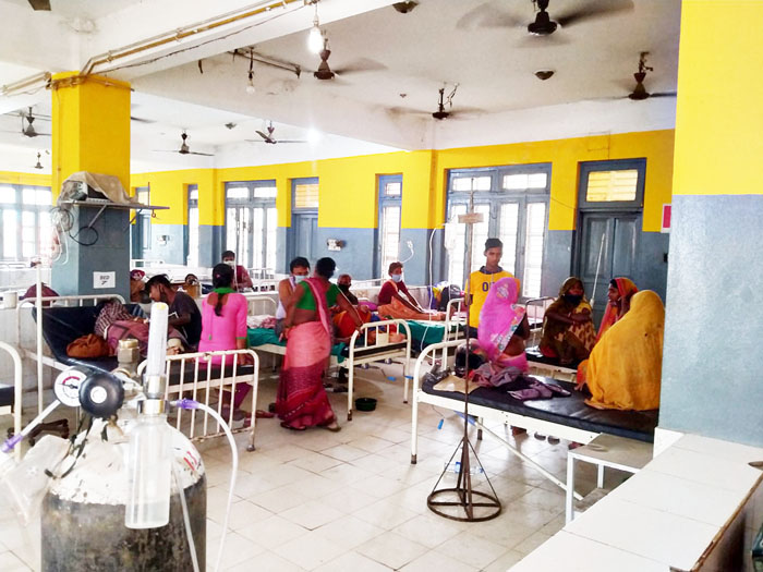 सर्पदंशबाट दुई दिनमा दुईको मृत्यु, चार घाइते 