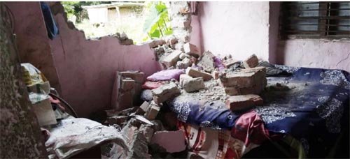 हात्तिले दुई जनाको घर भत्काउनुका साथै अन्नबाली नष्ट