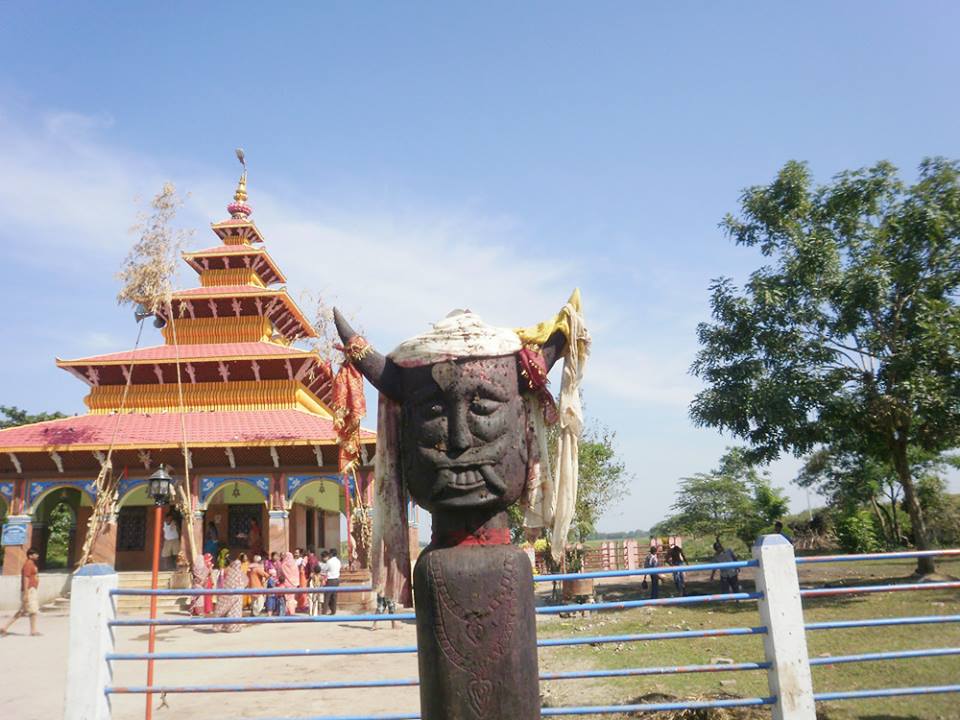 सप्तरीमा ५० हजार पशुपंक्षिको बली प्रदान, कंकालिनिमा ६ सय ३२ राँगा, २० हजार ५ सय खसीबोका,  छिन्नमस्तामा २५ हजार खसीबोकाको बली प्रदान